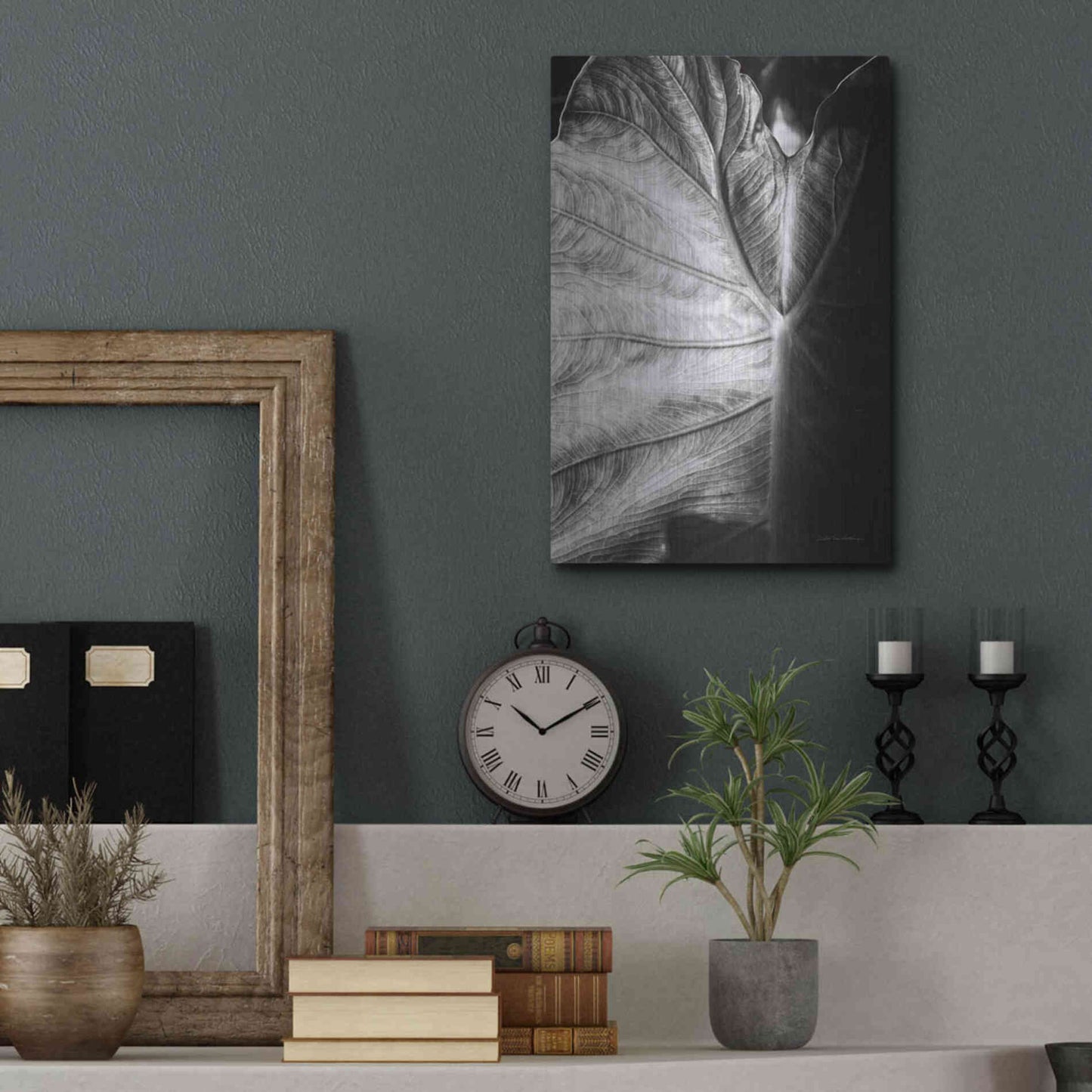 Luxe Metal Art 'Elephant Ear I' by Debra Van Swearingen, Metal Wall Art,12x16