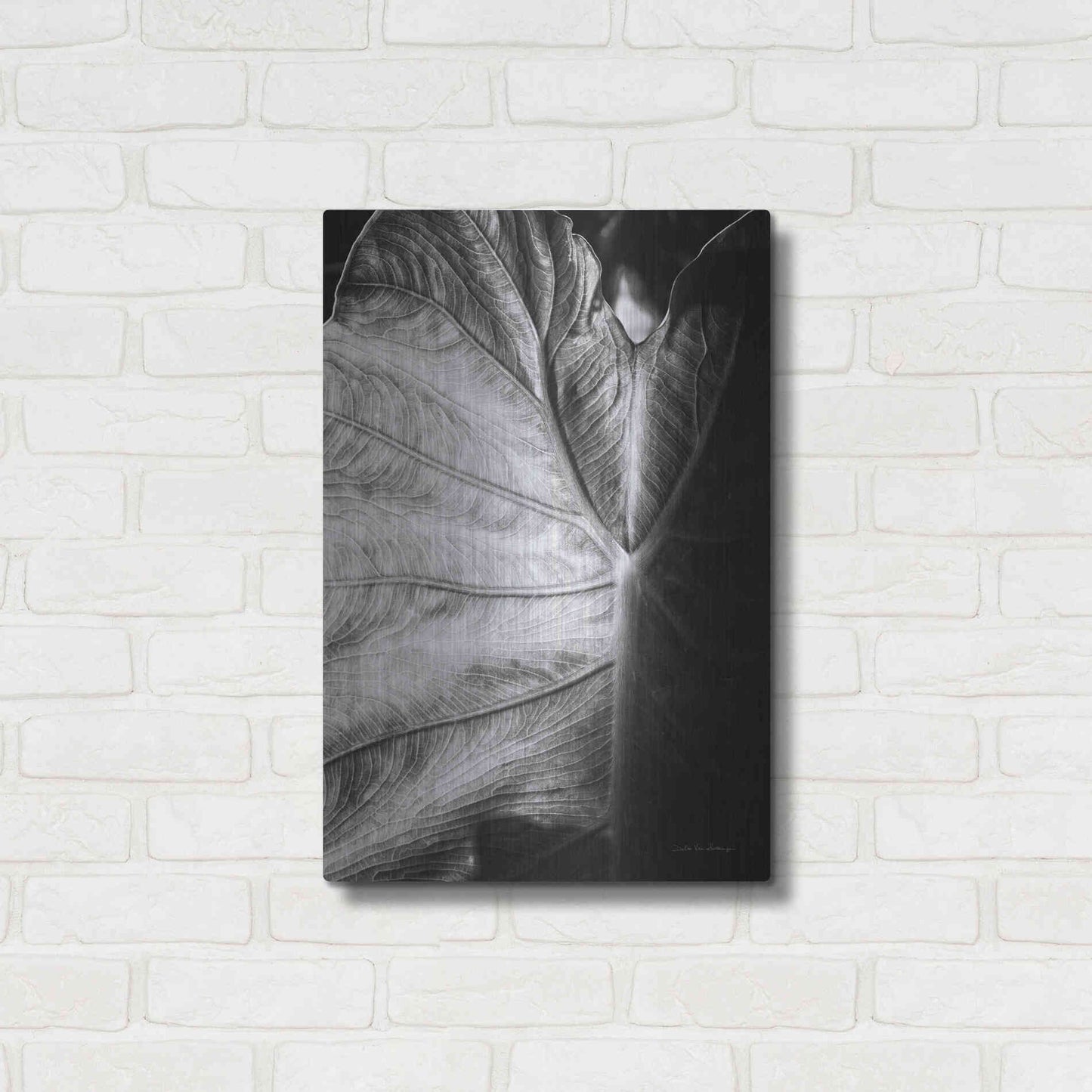 Luxe Metal Art 'Elephant Ear I' by Debra Van Swearingen, Metal Wall Art,16x24