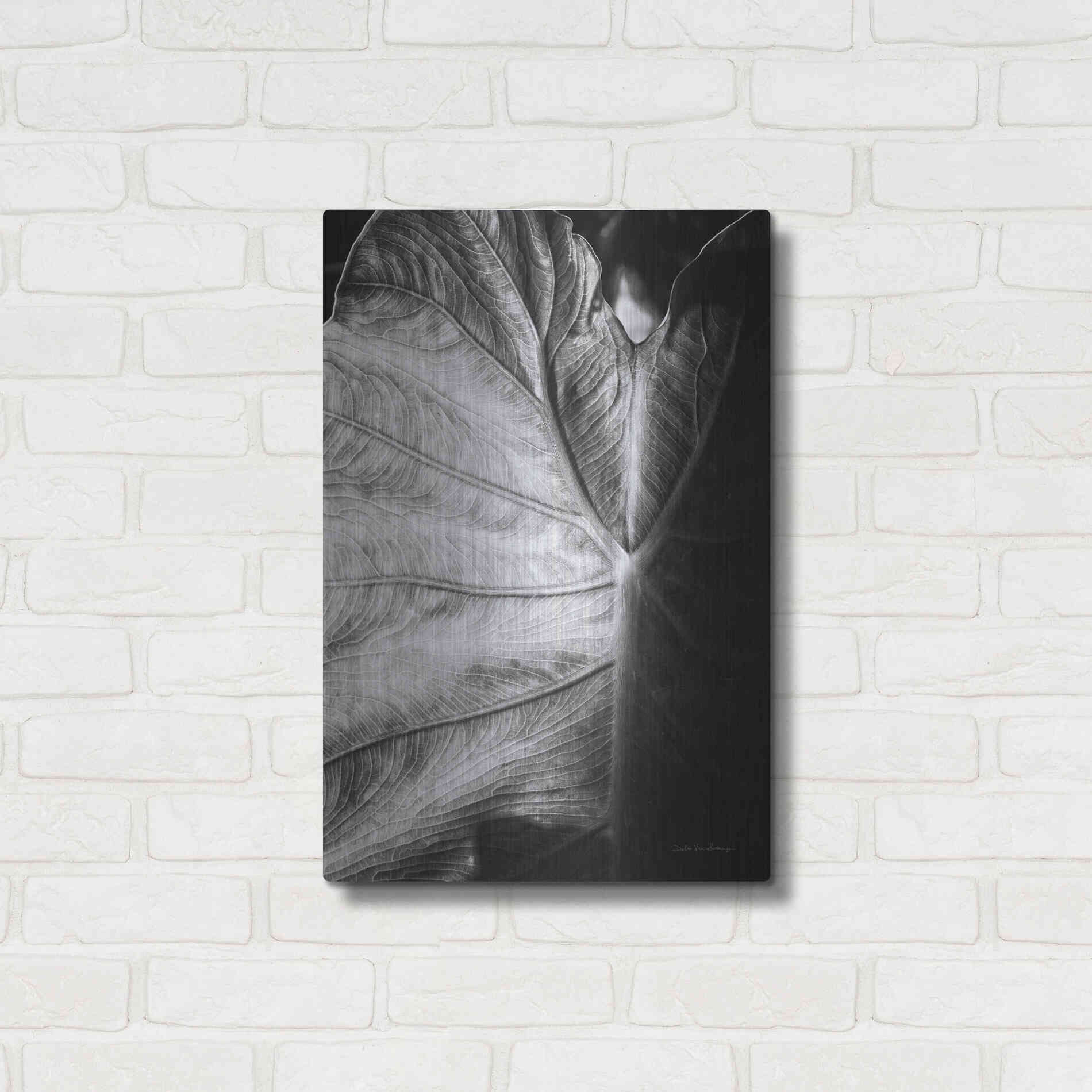 Luxe Metal Art 'Elephant Ear I' by Debra Van Swearingen, Metal Wall Art,16x24