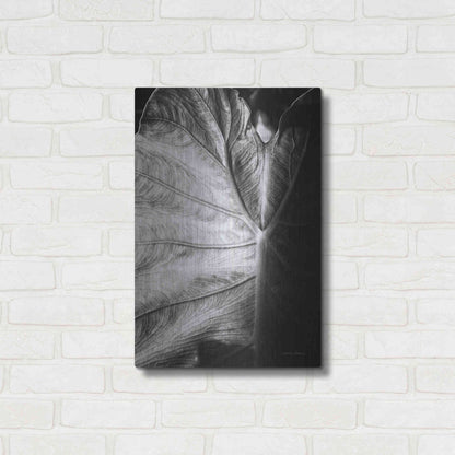 Luxe Metal Art 'Elephant Ear I' by Debra Van Swearingen, Metal Wall Art,16x24