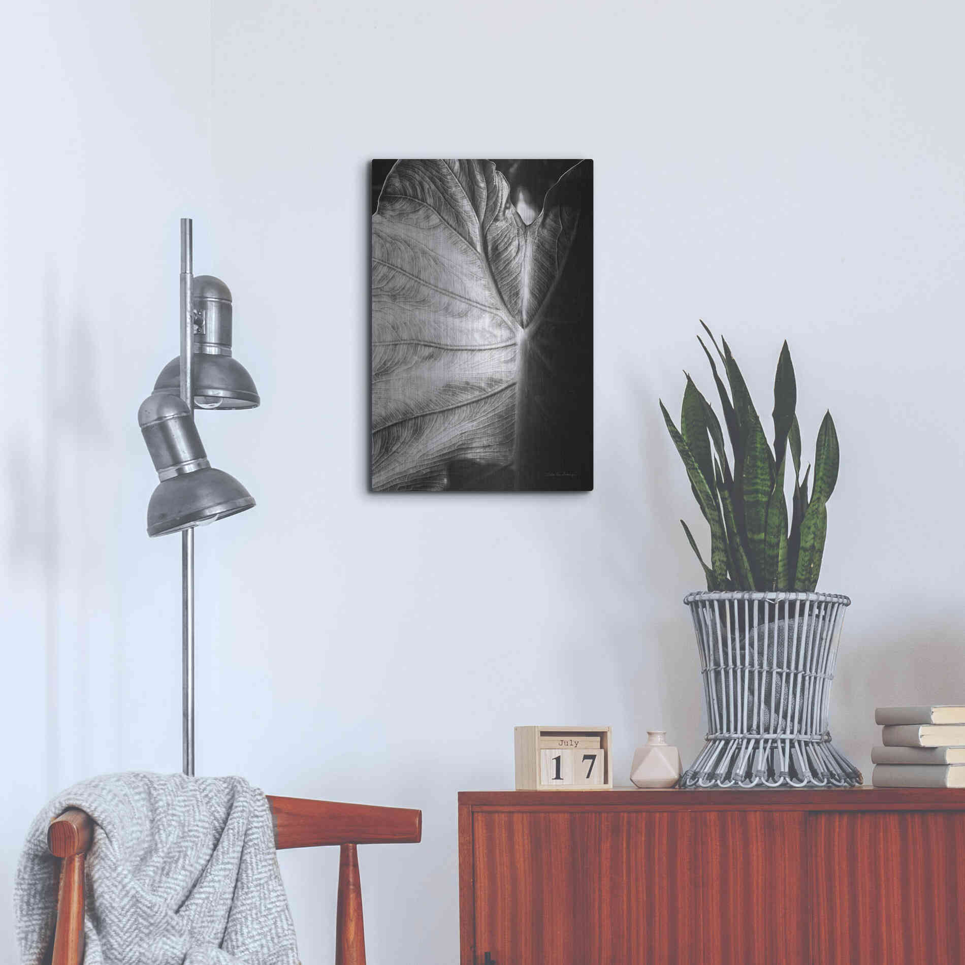 Luxe Metal Art 'Elephant Ear I' by Debra Van Swearingen, Metal Wall Art,16x24