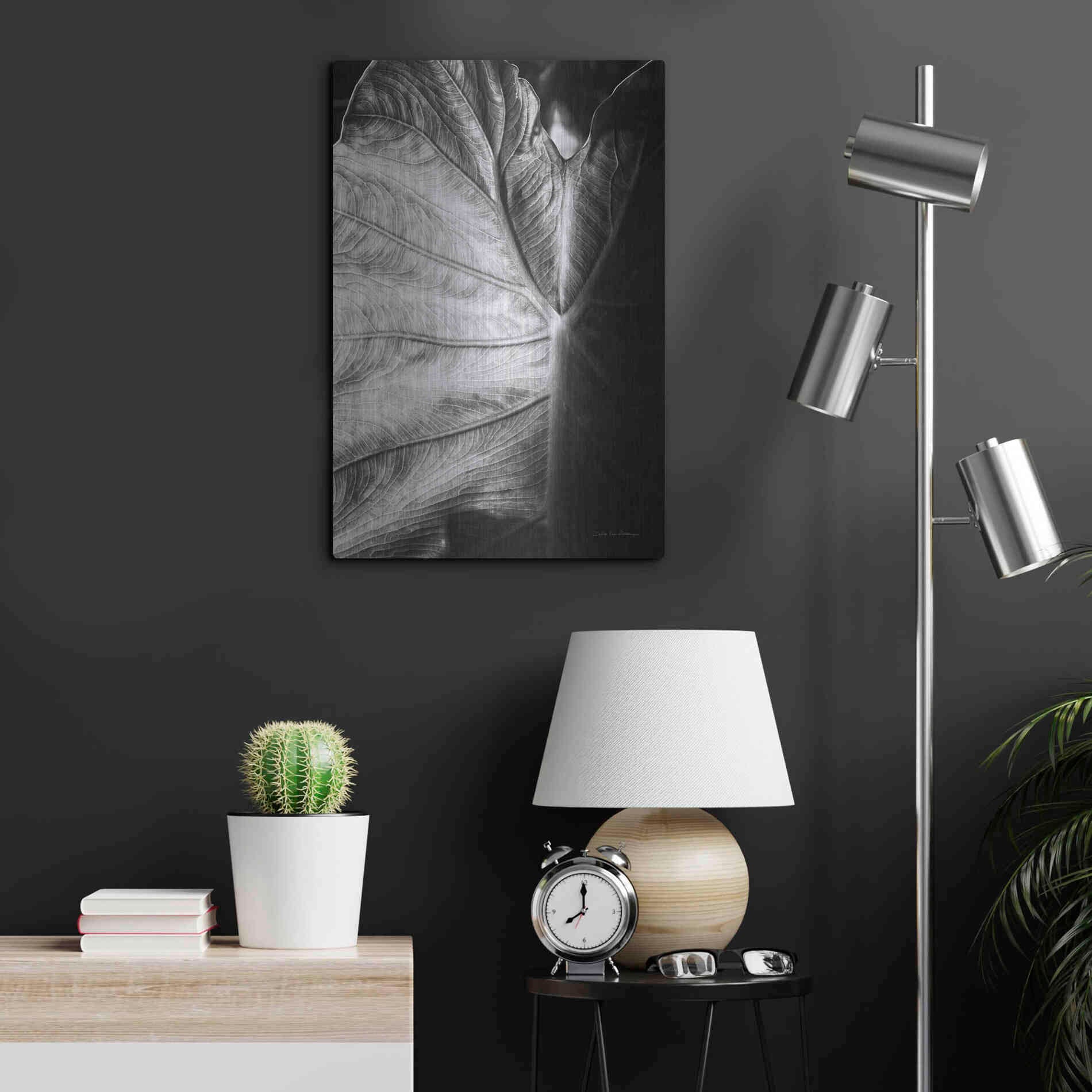 Luxe Metal Art 'Elephant Ear I' by Debra Van Swearingen, Metal Wall Art,16x24