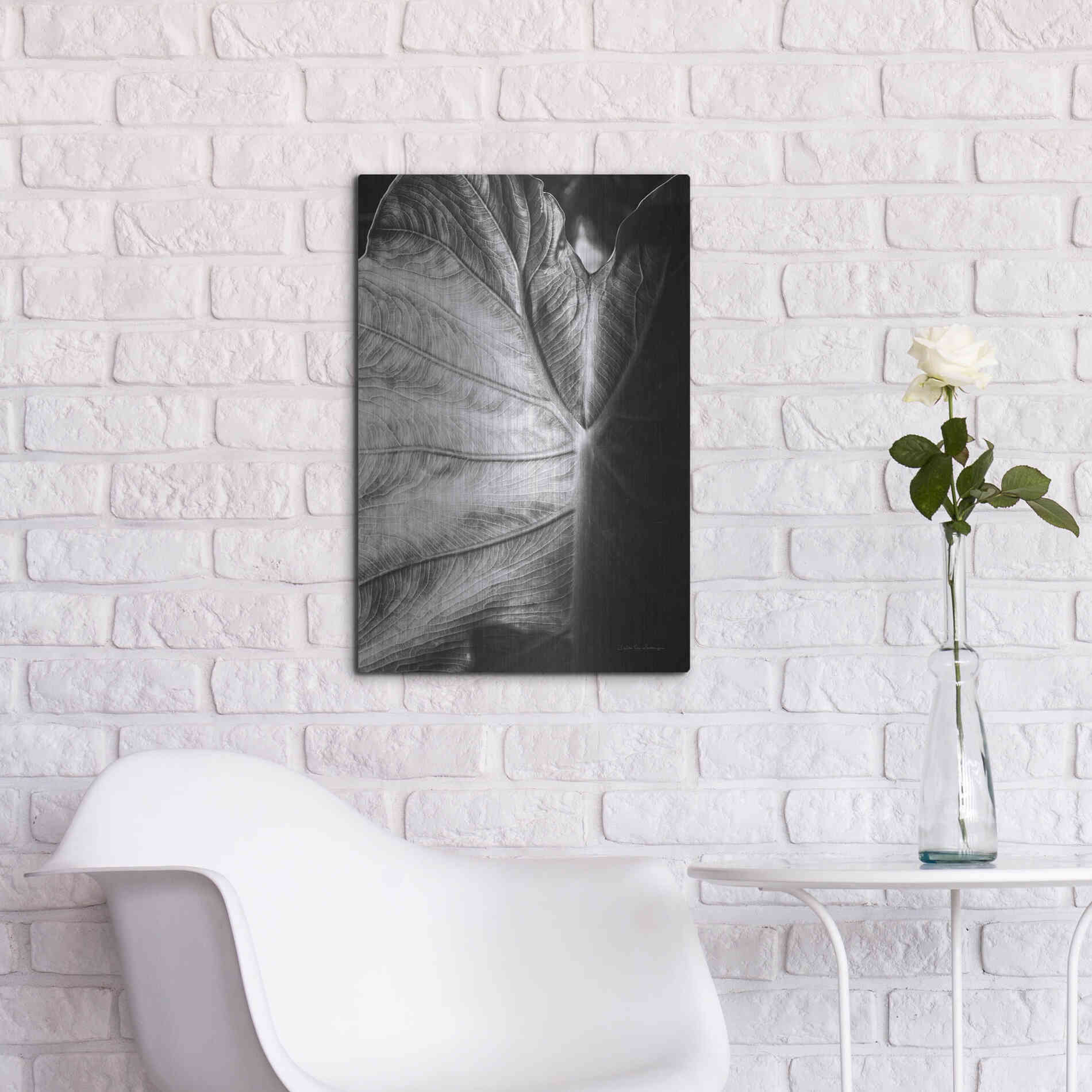 Luxe Metal Art 'Elephant Ear I' by Debra Van Swearingen, Metal Wall Art,16x24