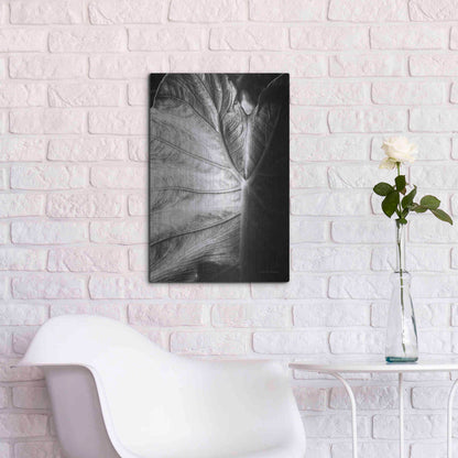 Luxe Metal Art 'Elephant Ear I' by Debra Van Swearingen, Metal Wall Art,16x24