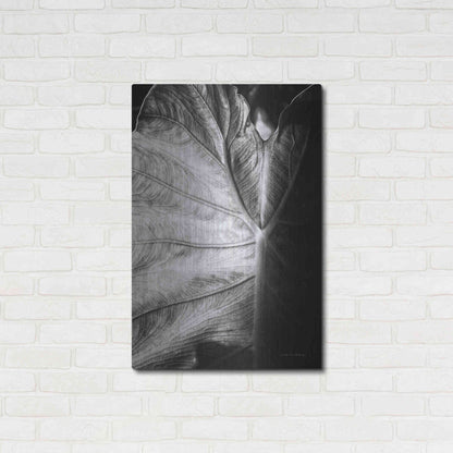 Luxe Metal Art 'Elephant Ear I' by Debra Van Swearingen, Metal Wall Art,24x36