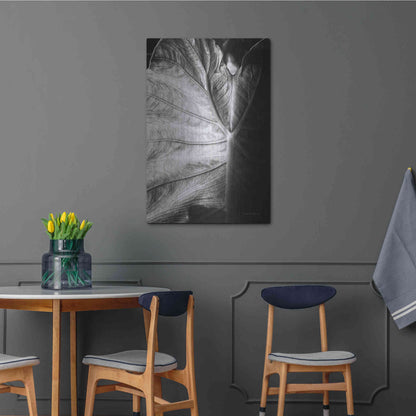 Luxe Metal Art 'Elephant Ear I' by Debra Van Swearingen, Metal Wall Art,24x36