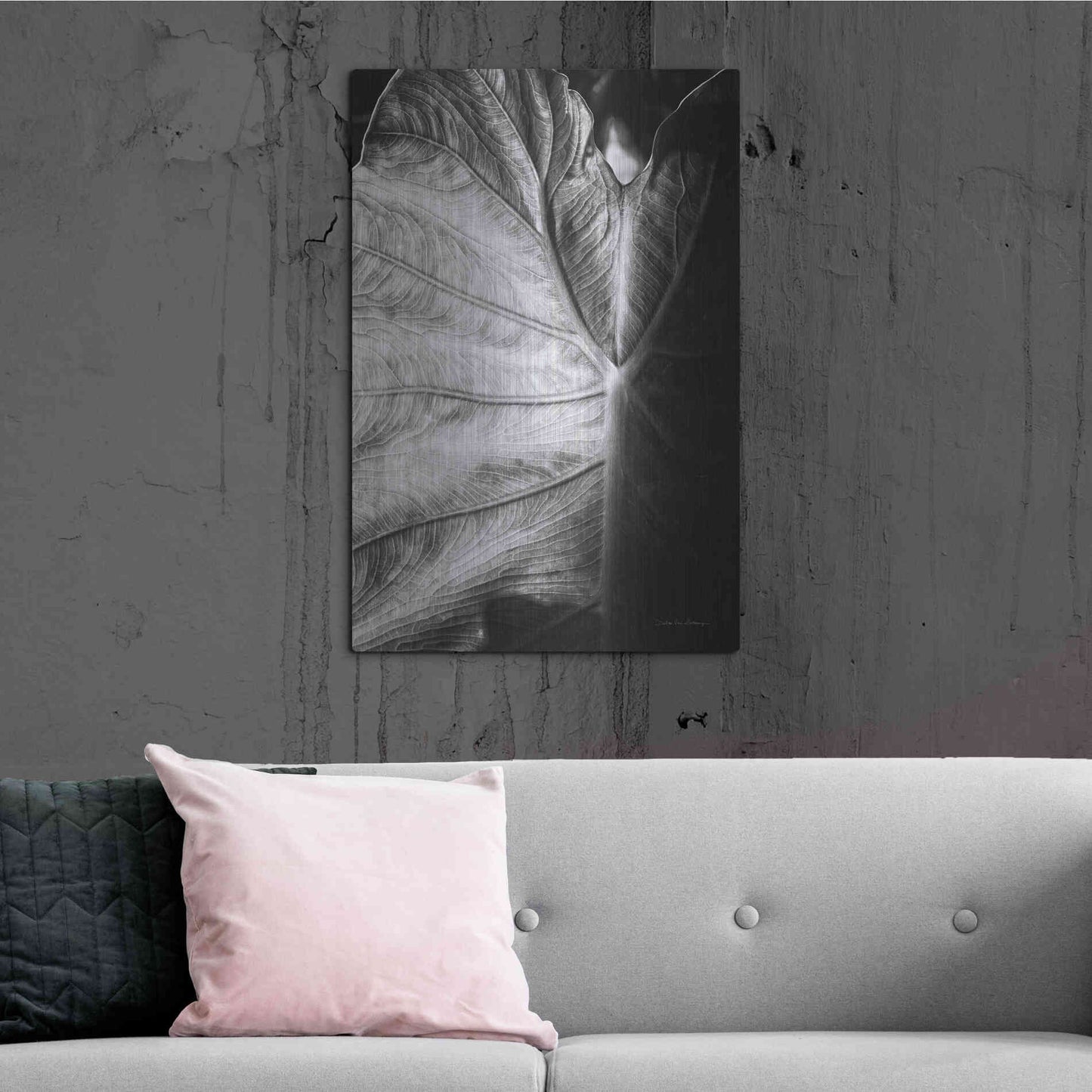 Luxe Metal Art 'Elephant Ear I' by Debra Van Swearingen, Metal Wall Art,24x36