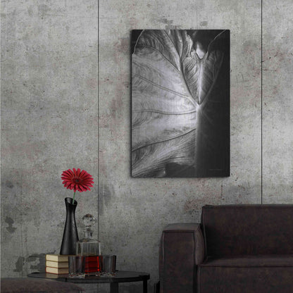 Luxe Metal Art 'Elephant Ear I' by Debra Van Swearingen, Metal Wall Art,24x36