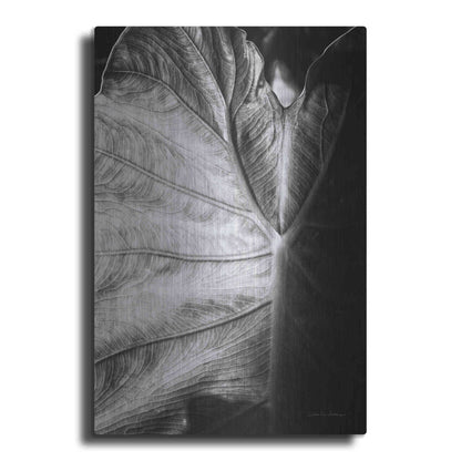 Luxe Metal Art 'Elephant Ear I' by Debra Van Swearingen, Metal Wall Art