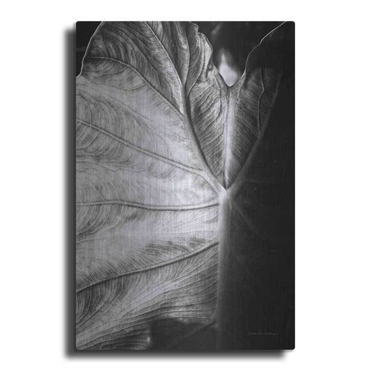 Luxe Metal Art 'Elephant Ear I' by Debra Van Swearingen, Metal Wall Art