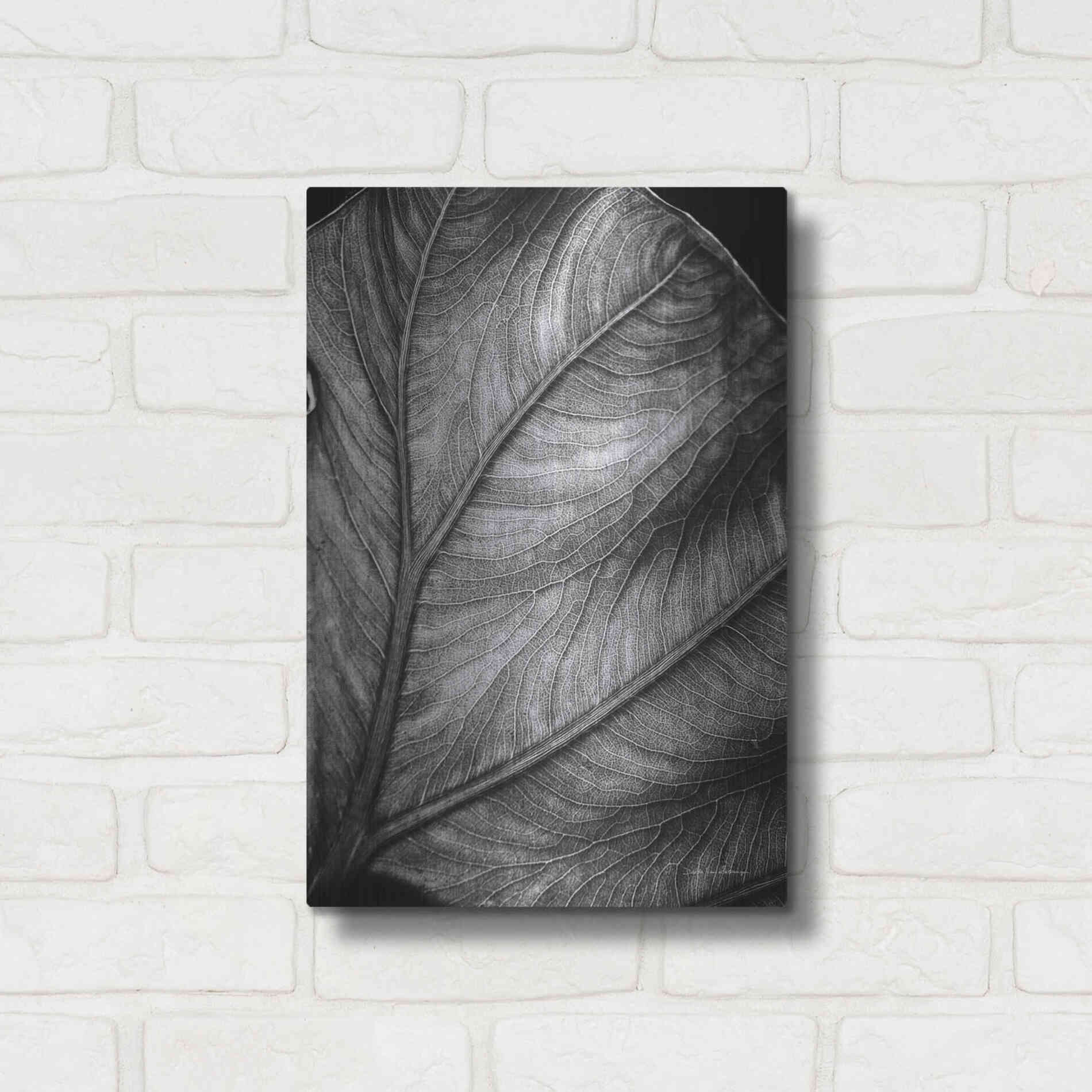 Luxe Metal Art 'Elephant Ear II' by Debra Van Swearingen, Metal Wall Art,12x16