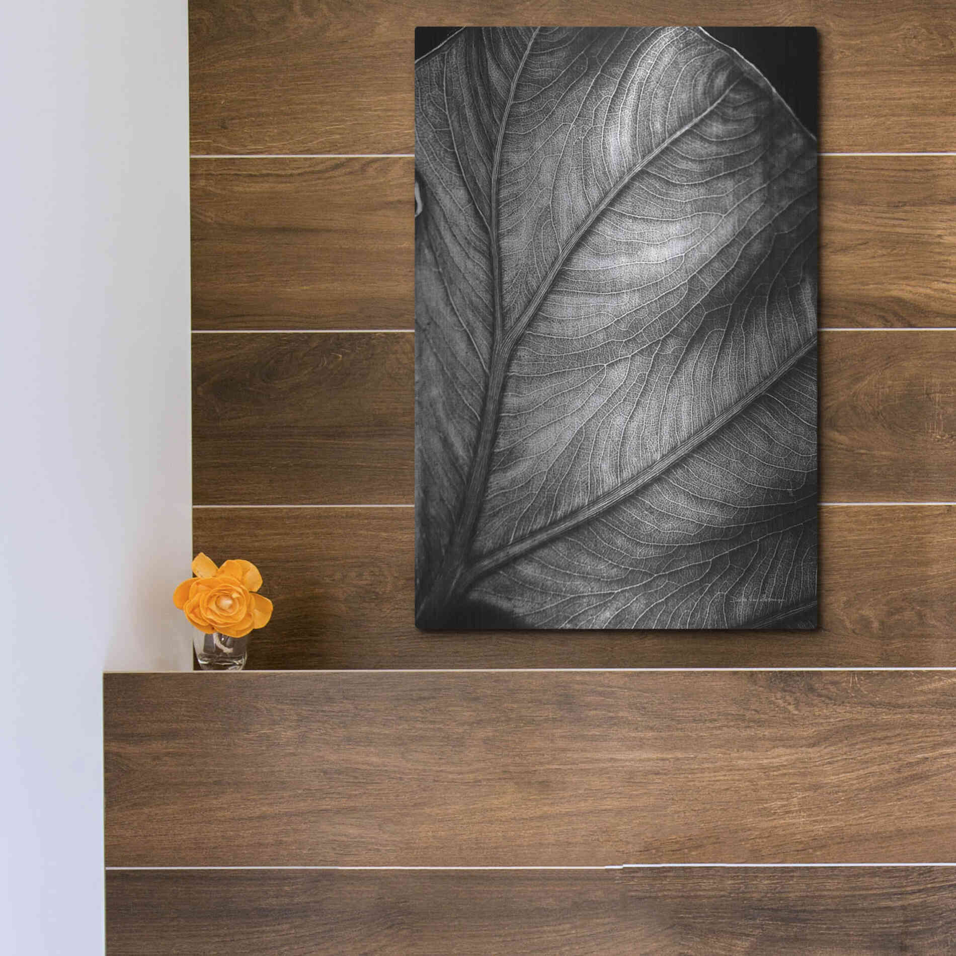 Luxe Metal Art 'Elephant Ear II' by Debra Van Swearingen, Metal Wall Art,12x16