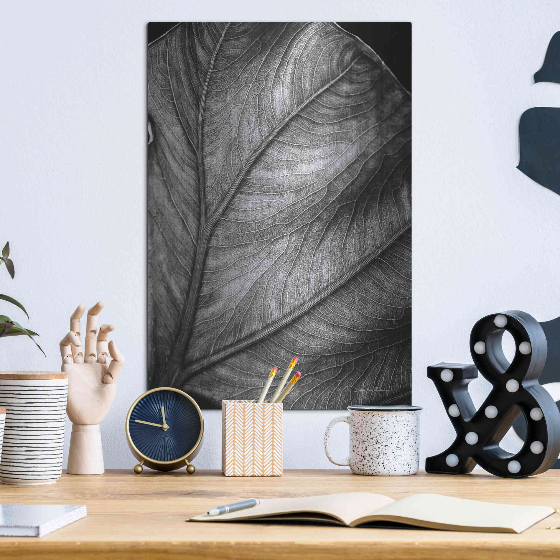 Luxe Metal Art 'Elephant Ear II' by Debra Van Swearingen, Metal Wall Art,12x16