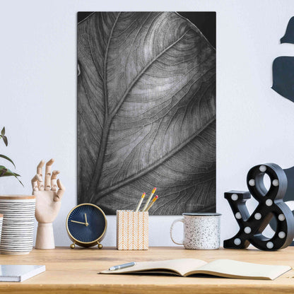 Luxe Metal Art 'Elephant Ear II' by Debra Van Swearingen, Metal Wall Art,12x16