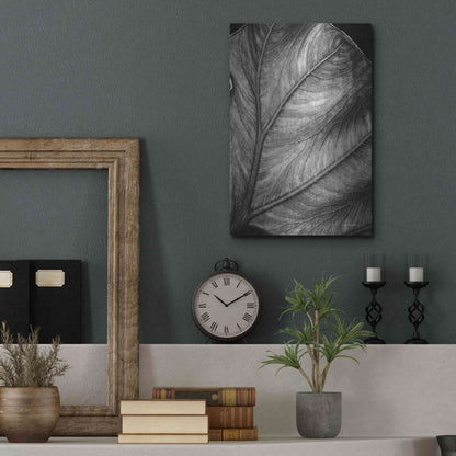 Luxe Metal Art 'Elephant Ear II' by Debra Van Swearingen, Metal Wall Art,12x16