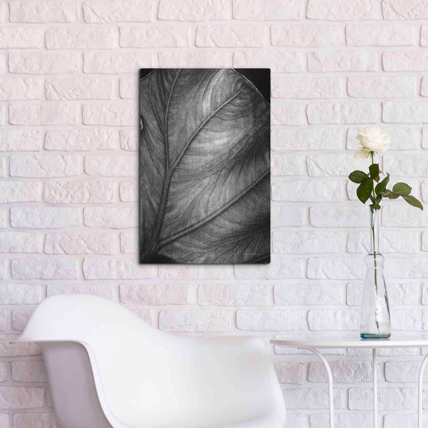 Luxe Metal Art 'Elephant Ear II' by Debra Van Swearingen, Metal Wall Art,16x24