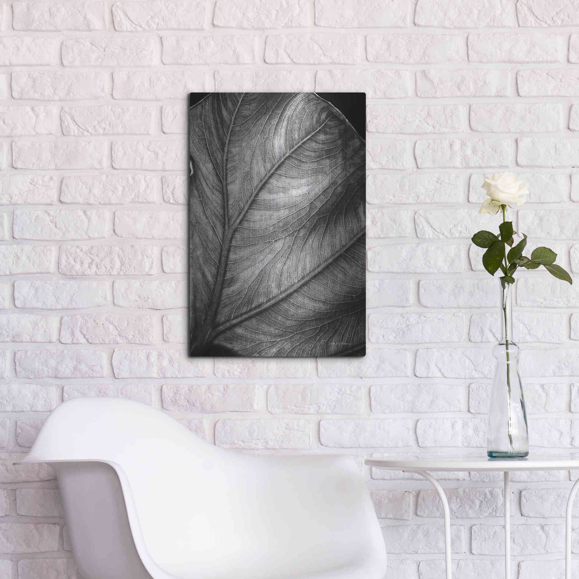 Luxe Metal Art 'Elephant Ear II' by Debra Van Swearingen, Metal Wall Art,16x24