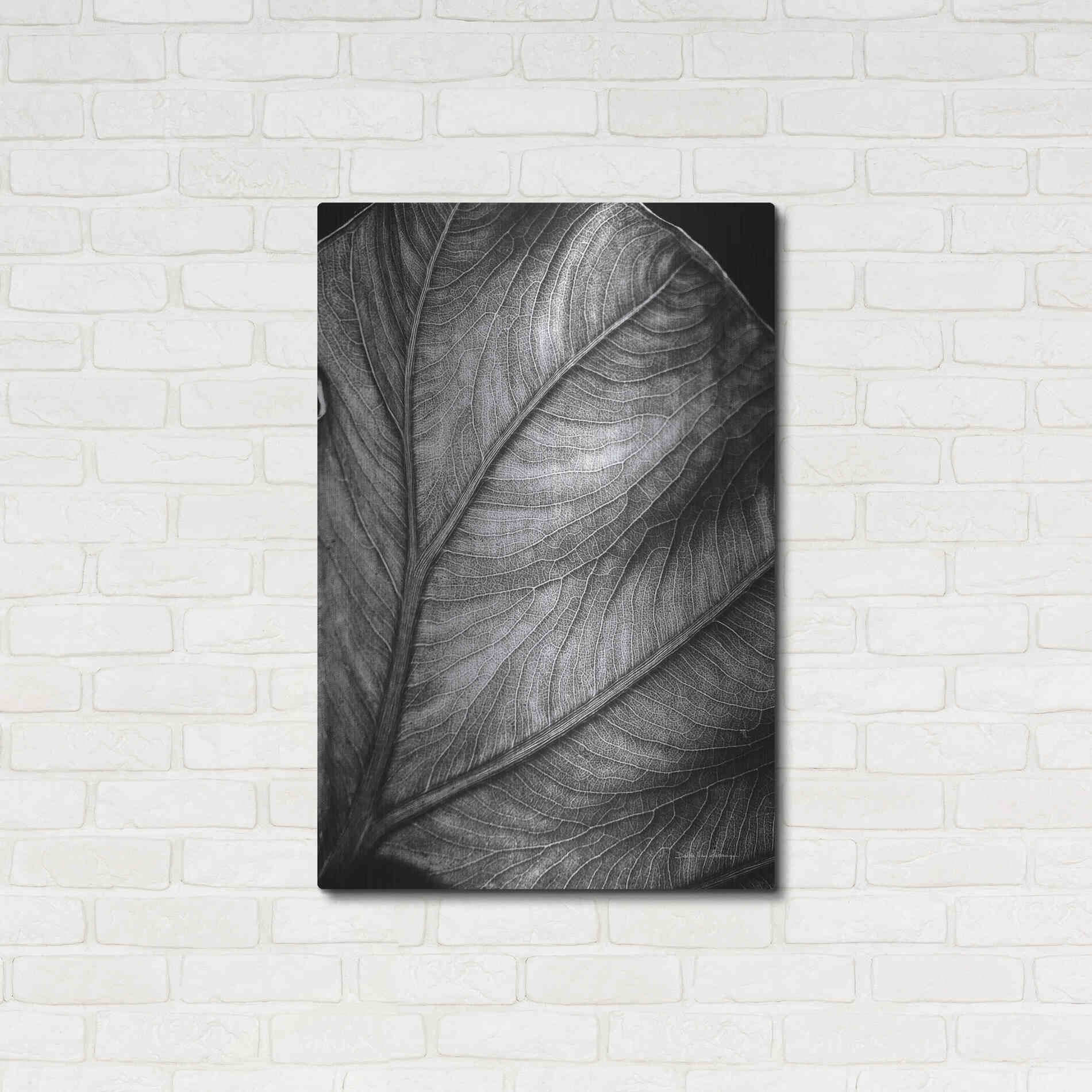 Luxe Metal Art 'Elephant Ear II' by Debra Van Swearingen, Metal Wall Art,24x36