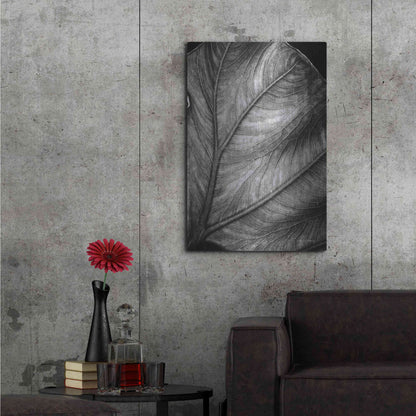 Luxe Metal Art 'Elephant Ear II' by Debra Van Swearingen, Metal Wall Art,24x36