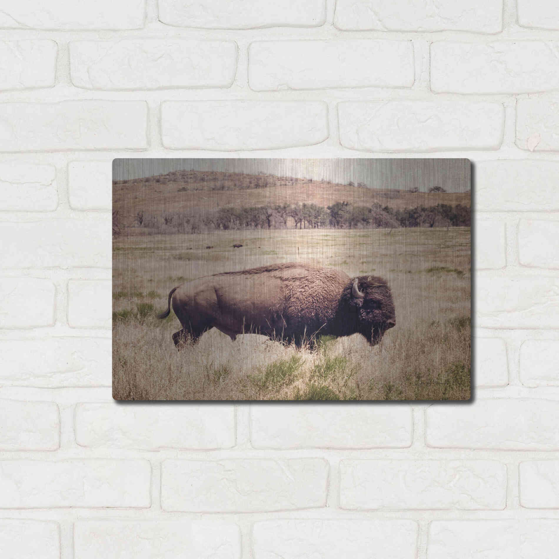 Luxe Metal Art 'Buffalo I' by Debra Van Swearingen, Metal Wall Art,16x12