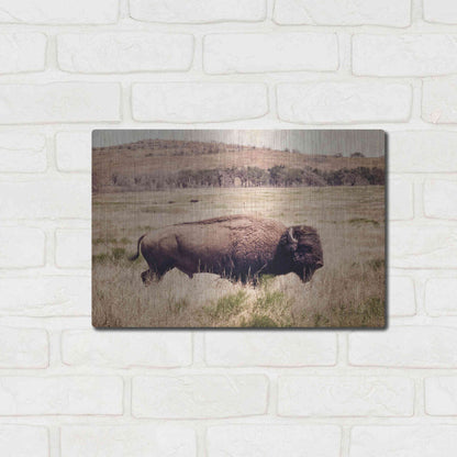 Luxe Metal Art 'Buffalo I' by Debra Van Swearingen, Metal Wall Art,16x12