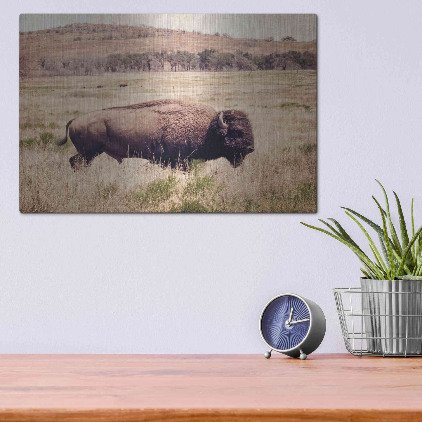 Luxe Metal Art 'Buffalo I' by Debra Van Swearingen, Metal Wall Art,16x12