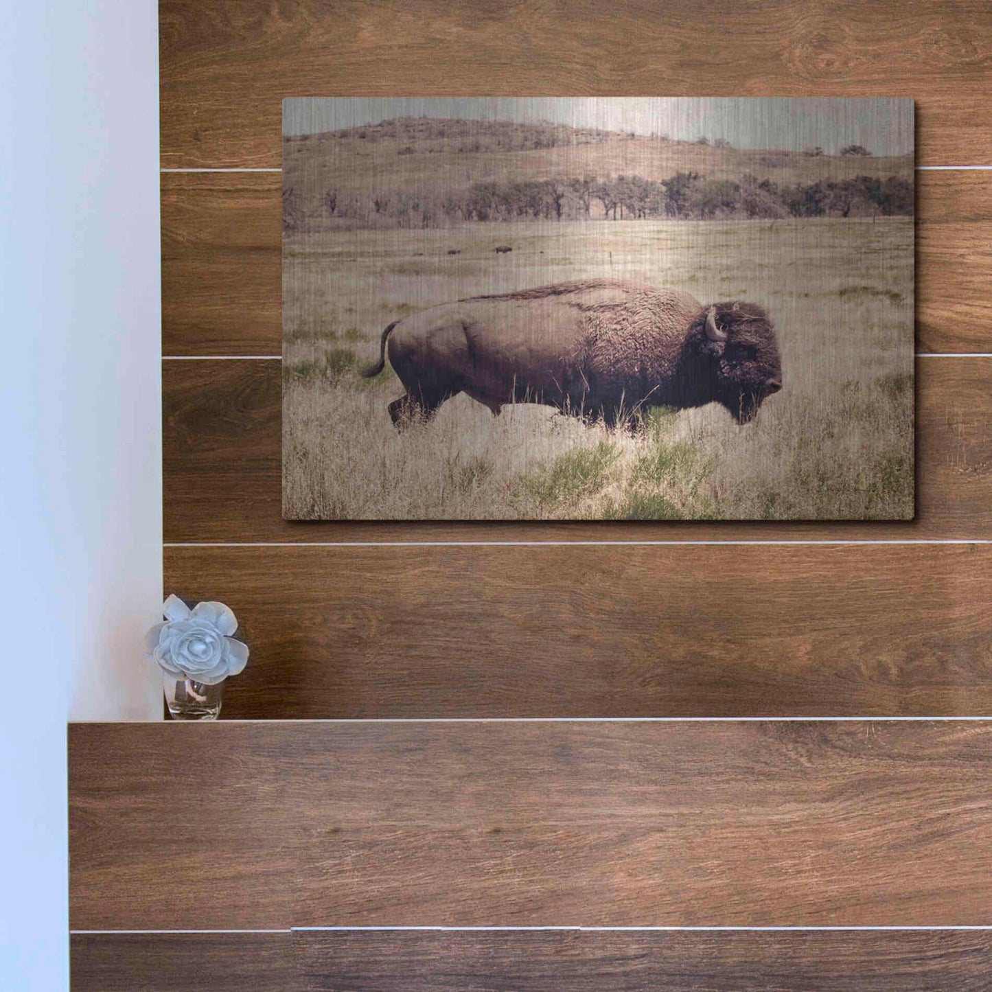 Luxe Metal Art 'Buffalo I' by Debra Van Swearingen, Metal Wall Art,16x12