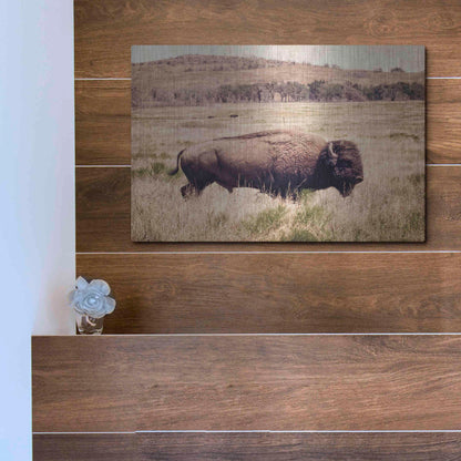 Luxe Metal Art 'Buffalo I' by Debra Van Swearingen, Metal Wall Art,16x12