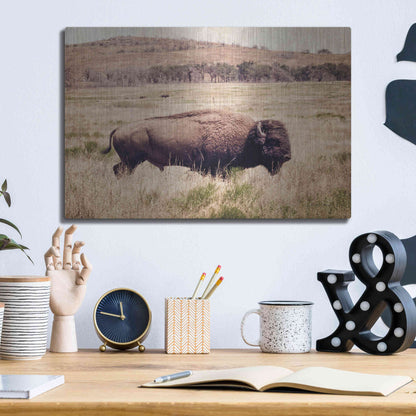 Luxe Metal Art 'Buffalo I' by Debra Van Swearingen, Metal Wall Art,16x12