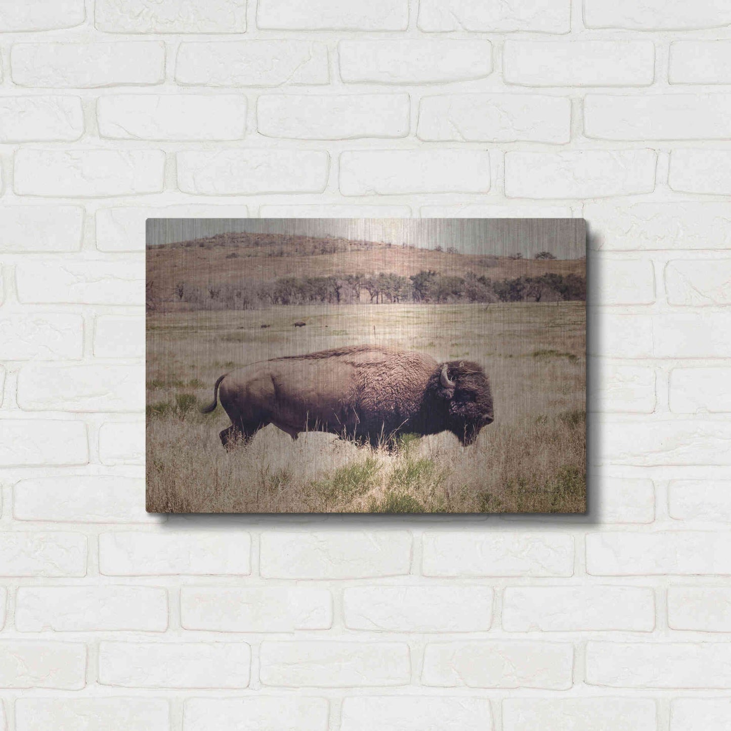 Luxe Metal Art 'Buffalo I' by Debra Van Swearingen, Metal Wall Art,24x16