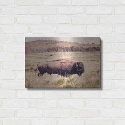 Luxe Metal Art 'Buffalo I' by Debra Van Swearingen, Metal Wall Art,24x16