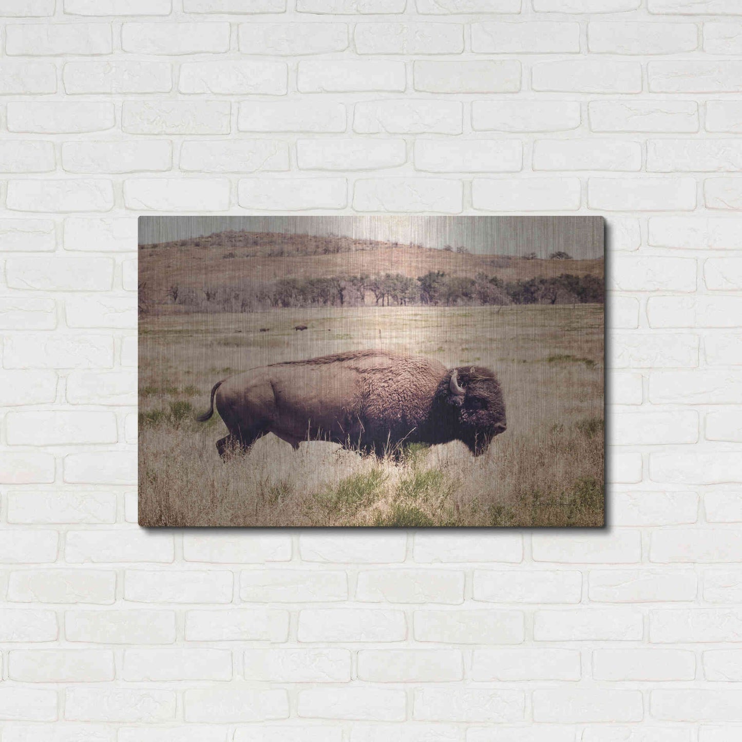 Luxe Metal Art 'Buffalo I' by Debra Van Swearingen, Metal Wall Art,36x24