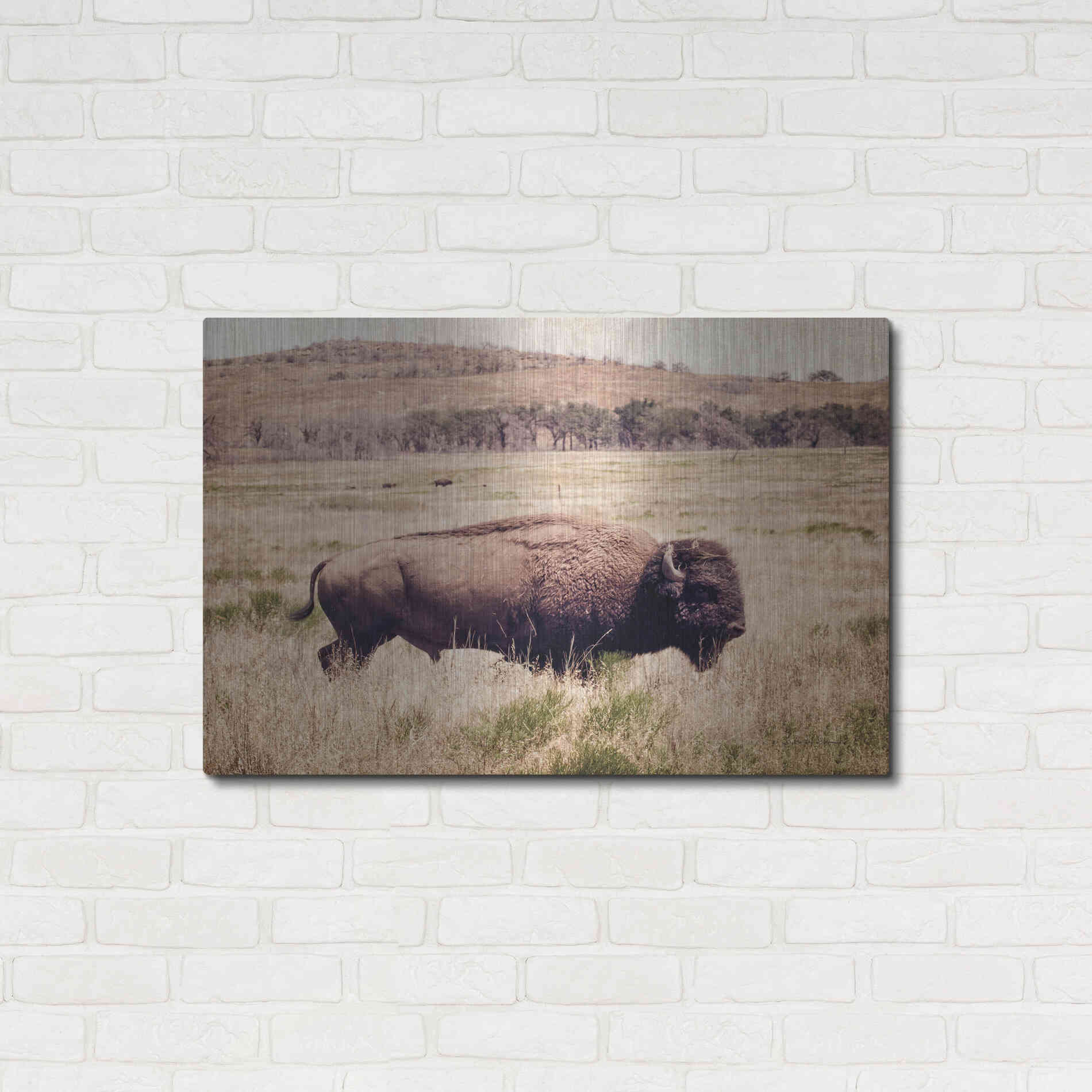 Luxe Metal Art 'Buffalo I' by Debra Van Swearingen, Metal Wall Art,36x24