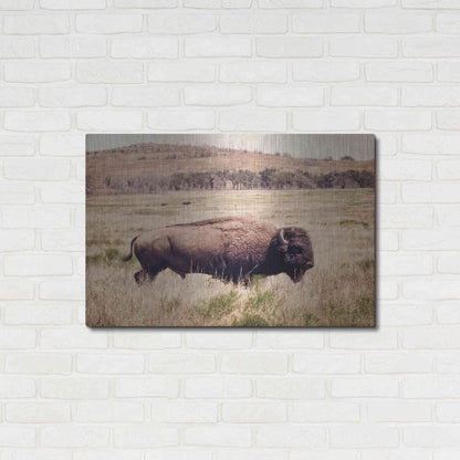 Luxe Metal Art 'Buffalo I' by Debra Van Swearingen, Metal Wall Art,36x24
