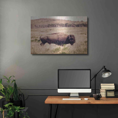 Luxe Metal Art 'Buffalo I' by Debra Van Swearingen, Metal Wall Art,36x24