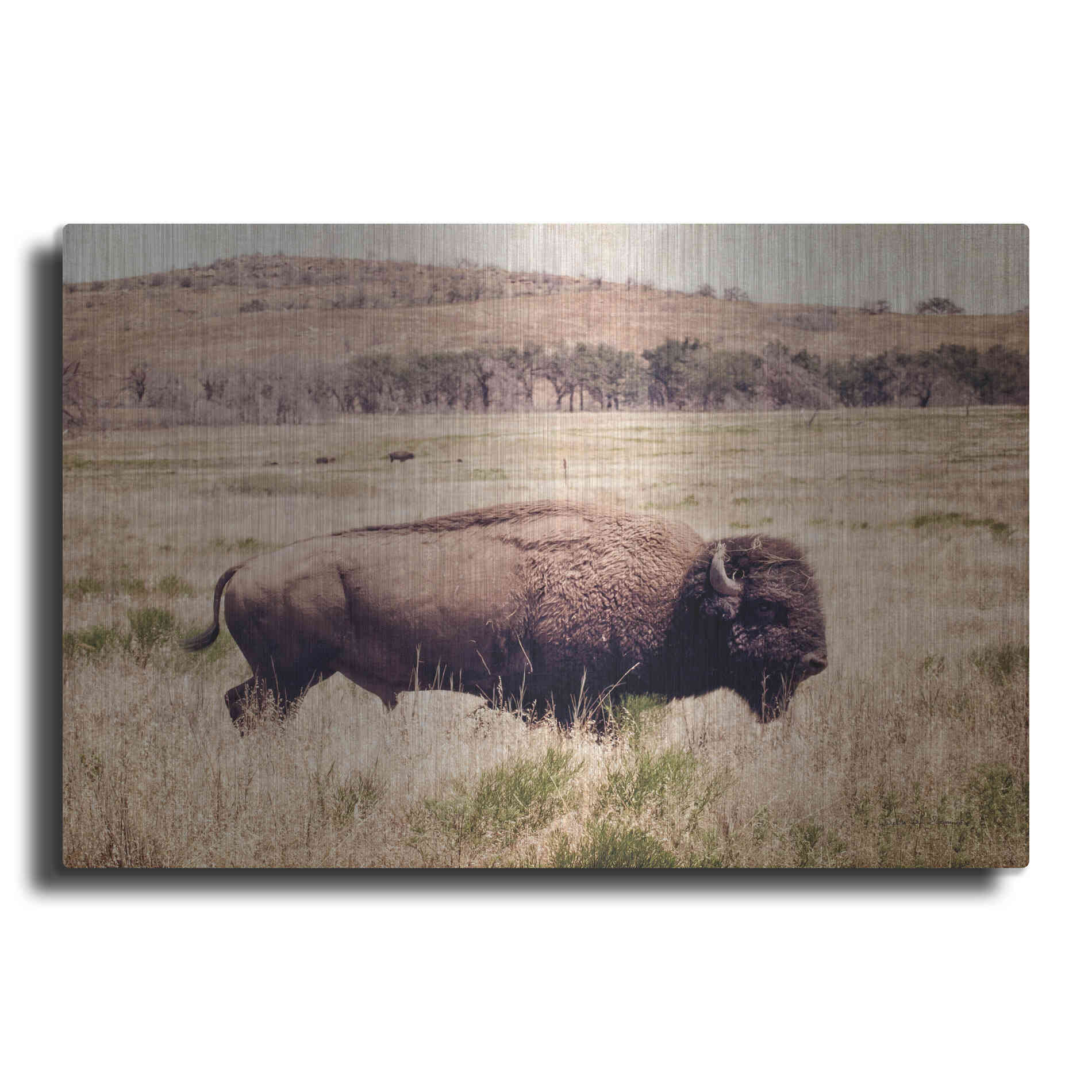 Luxe Metal Art 'Buffalo I' by Debra Van Swearingen, Metal Wall Art
