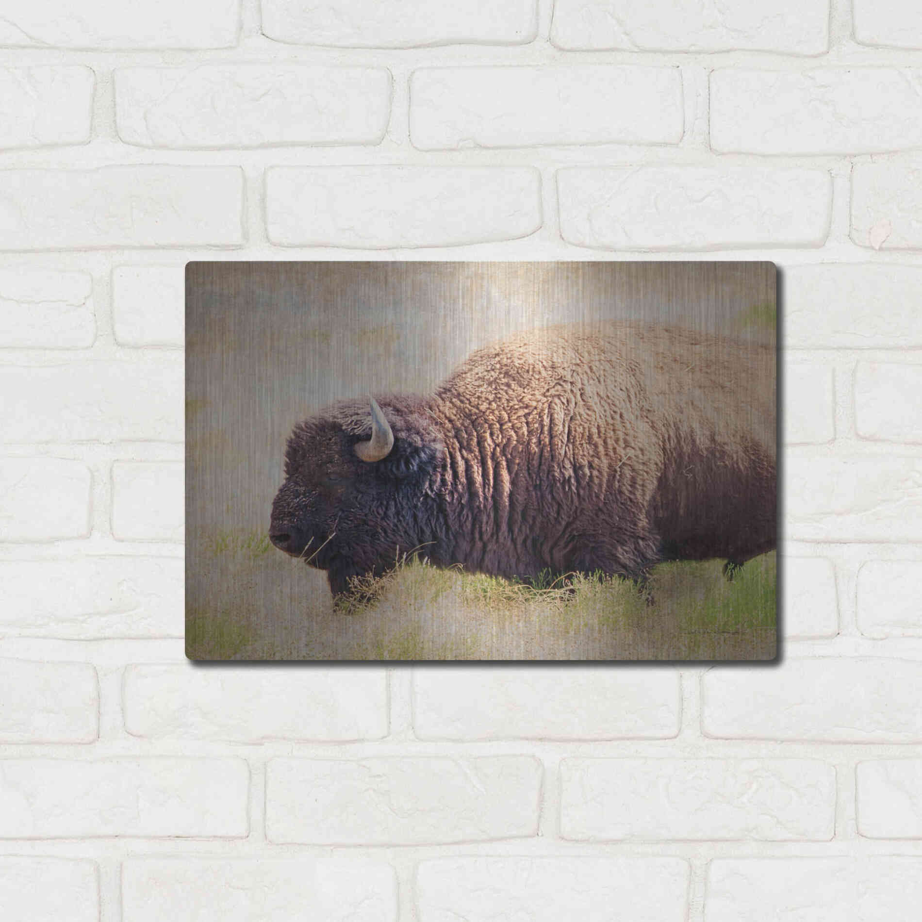 Luxe Metal Art 'Buffalo II' by Debra Van Swearingen, Metal Wall Art,16x12
