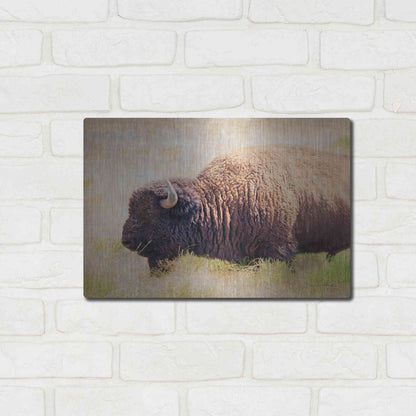 Luxe Metal Art 'Buffalo II' by Debra Van Swearingen, Metal Wall Art,16x12