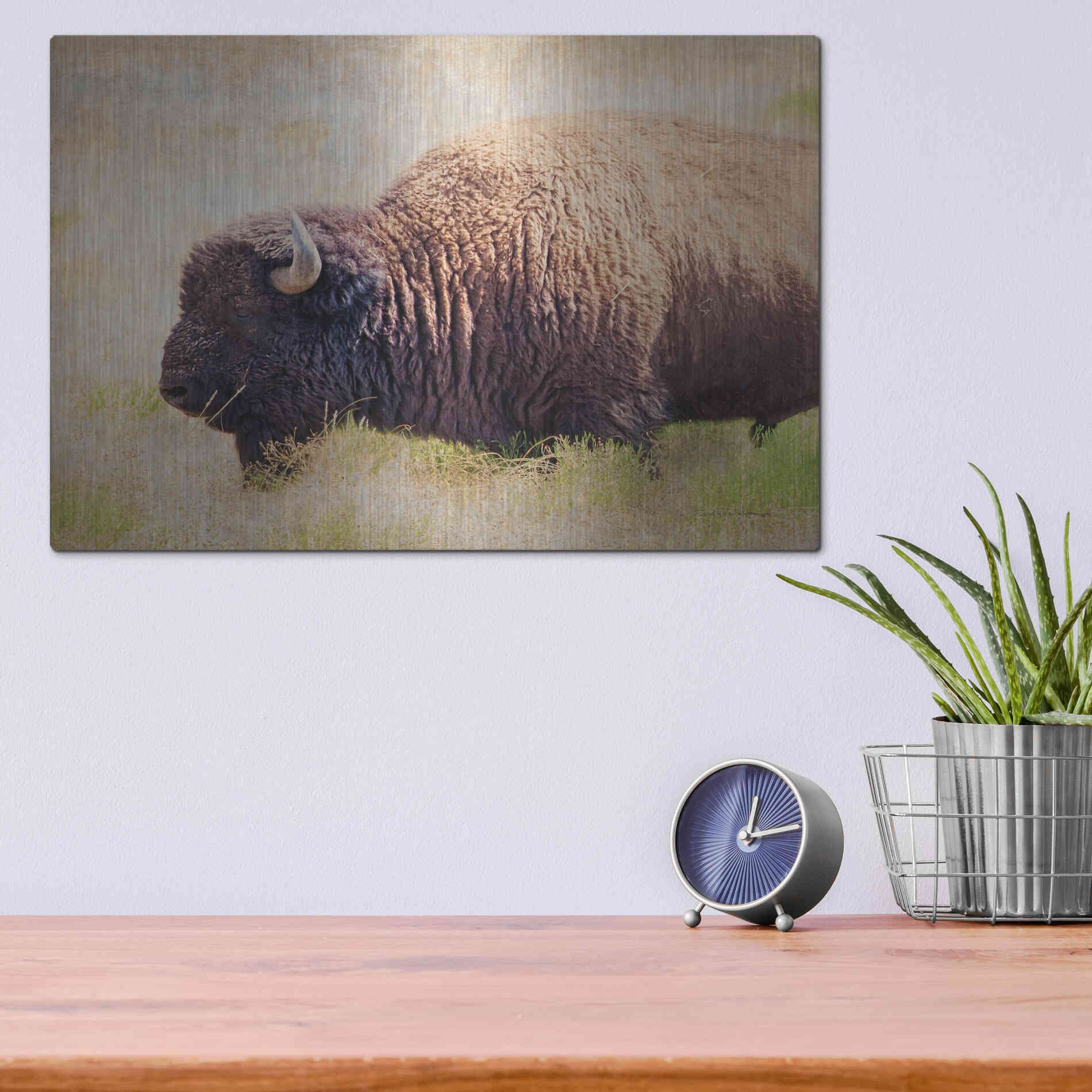 Luxe Metal Art 'Buffalo II' by Debra Van Swearingen, Metal Wall Art,16x12