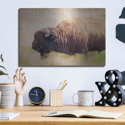 Luxe Metal Art 'Buffalo II' by Debra Van Swearingen, Metal Wall Art,16x12