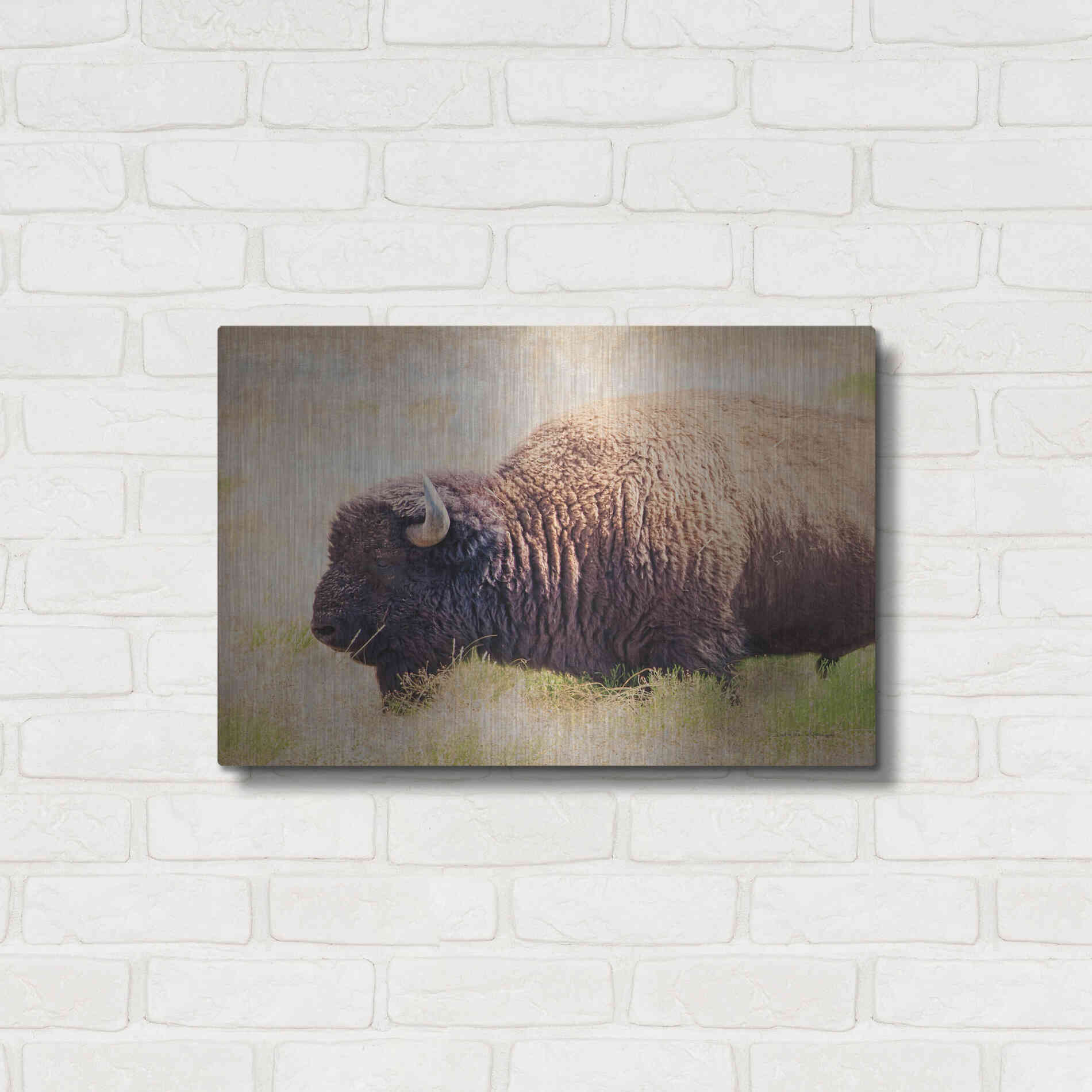 Luxe Metal Art 'Buffalo II' by Debra Van Swearingen, Metal Wall Art,24x16