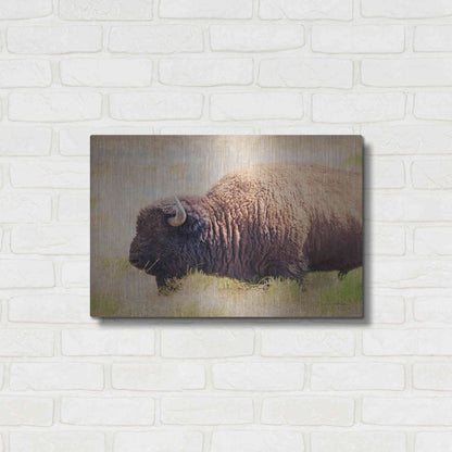 Luxe Metal Art 'Buffalo II' by Debra Van Swearingen, Metal Wall Art,24x16