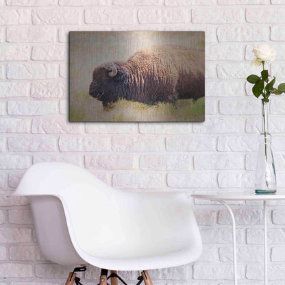 Luxe Metal Art 'Buffalo II' by Debra Van Swearingen, Metal Wall Art,24x16