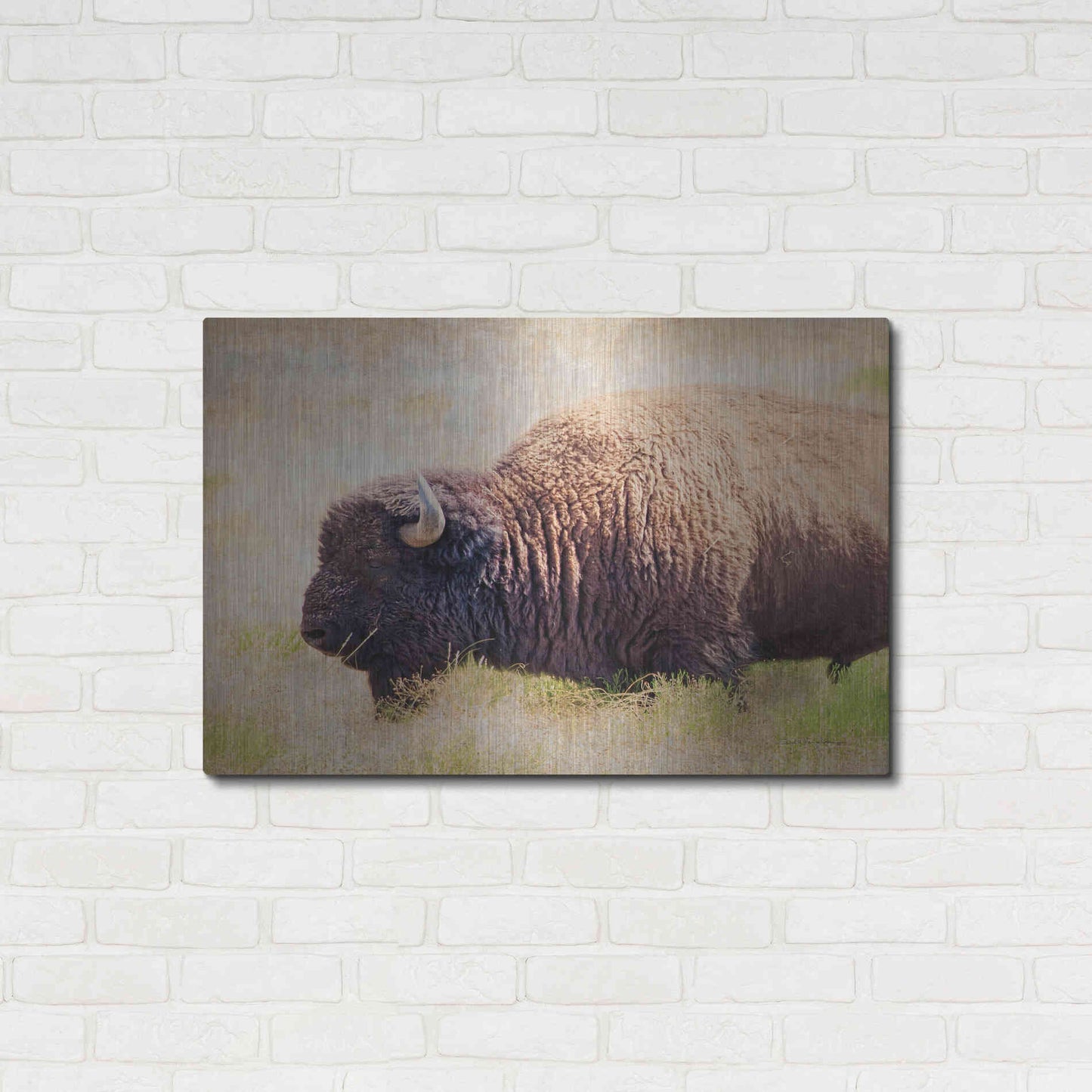 Luxe Metal Art 'Buffalo II' by Debra Van Swearingen, Metal Wall Art,36x24