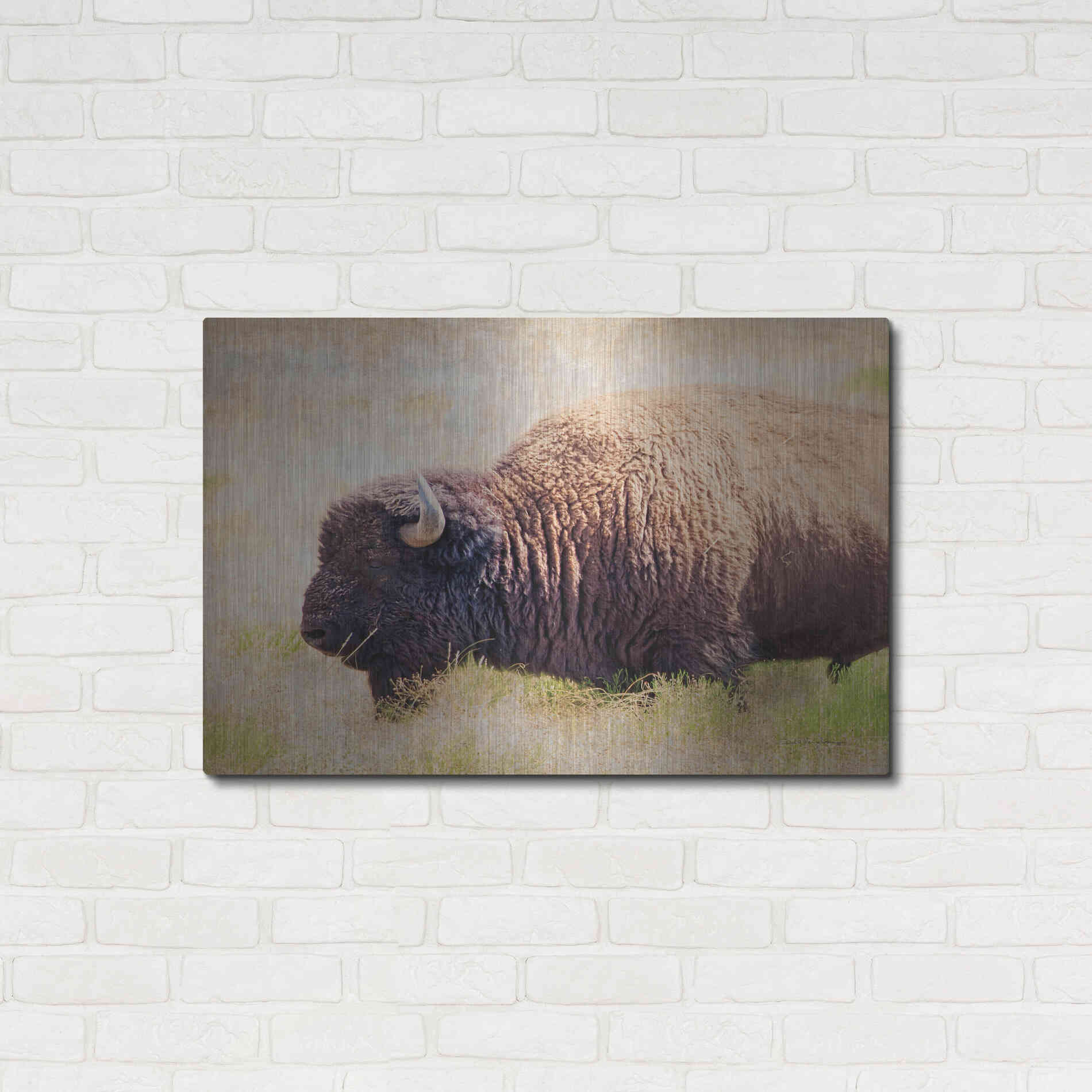 Luxe Metal Art 'Buffalo II' by Debra Van Swearingen, Metal Wall Art,36x24