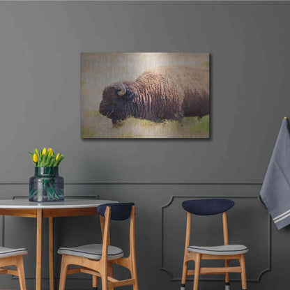Luxe Metal Art 'Buffalo II' by Debra Van Swearingen, Metal Wall Art,36x24