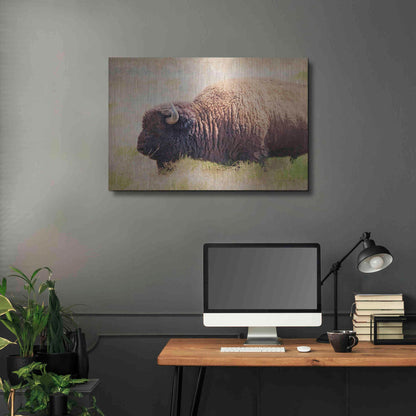 Luxe Metal Art 'Buffalo II' by Debra Van Swearingen, Metal Wall Art,36x24
