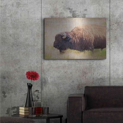 Luxe Metal Art 'Buffalo II' by Debra Van Swearingen, Metal Wall Art,36x24