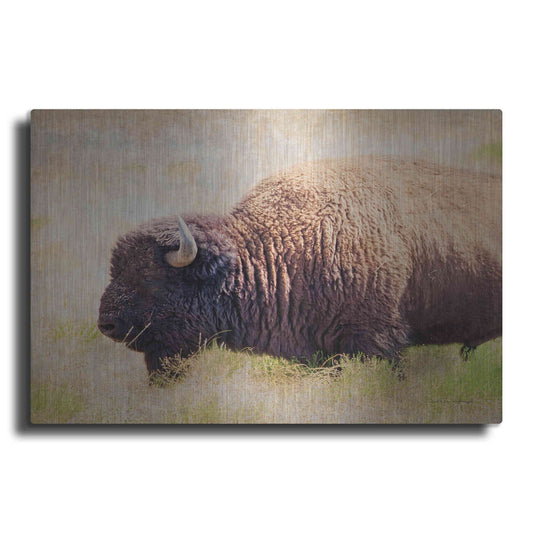 Luxe Metal Art 'Buffalo II' by Debra Van Swearingen, Metal Wall Art