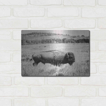 Luxe Metal Art 'Buffalo I BW' by Debra Van Swearingen, Metal Wall Art,16x12